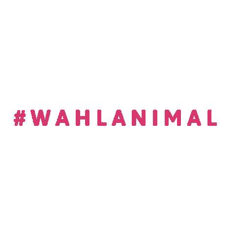 wahlanimal giphyupload dog animal horse Sticker