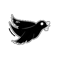 Black Bird Sticker