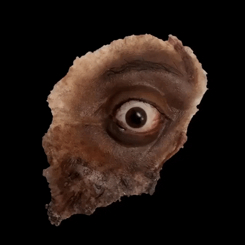 trinidadjames giphygifmaker ugly eyeball trinidad james GIF