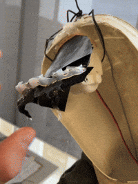 Behind The Scenes Hand GIF by Alex Boya