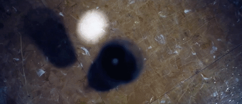 and so we put goldfish in the pool GIF by NOWNESS
