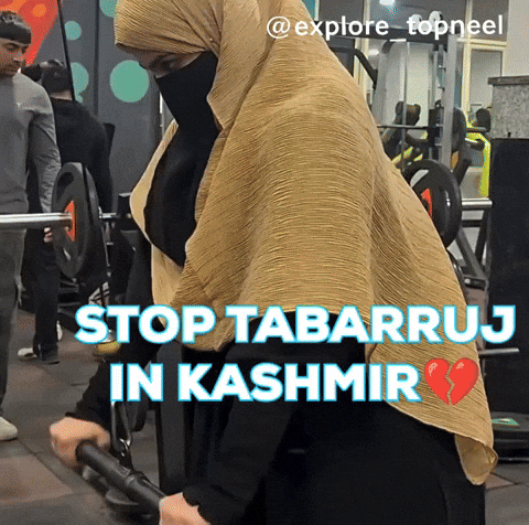 Kashmir GIF