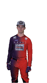 British Racing Sticker by ApicoFactoryRacing