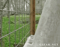 GIF by Random Goat