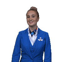 happy well done Sticker by KLM