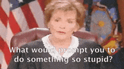 stupid GIF
