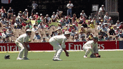 cricketcomau cricket catch hayden gully GIF