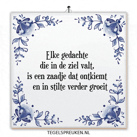 Humor Nl GIF by Tegelspreuken.nl