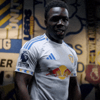 Premier League Lufc GIF by Leeds United