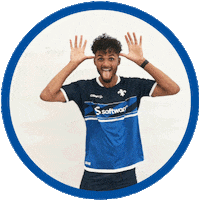 2 Bundesliga Football Sticker by SV Darmstadt 1898 e.V.