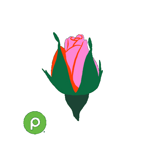 Family Love Sticker by Publix