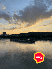 Night Sky GIF by Linz News