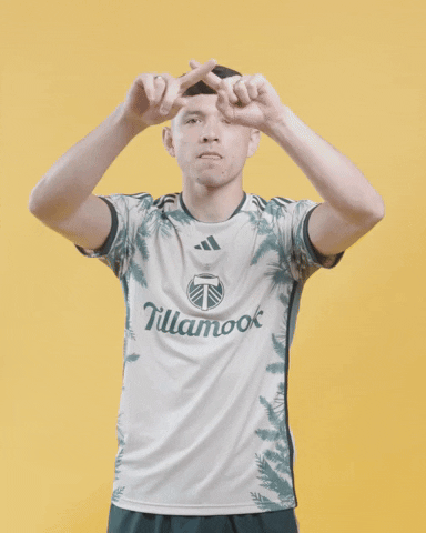Mls David GIF by Timbers