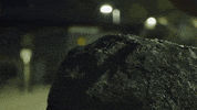 College Football GIF by WVU Sports