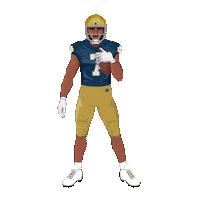 Notre Dame Football Sticker by Panini America
