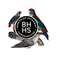 Real Estate Agent Realtor Sticker by BHHSfoxroachsocietyhill