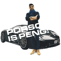 Porsche Peng Sticker by Project_Kahn