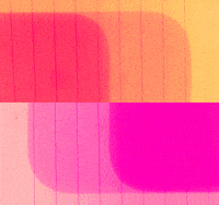 color glitch art GIF by Yvonne Cheng