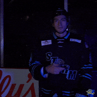 Fun Celebration GIF by Quad City Storm