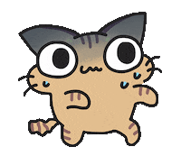 Li-Fish 貓 虎斑貓 盧小小 台灣盧系 Sticker