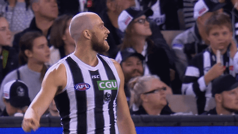 football celebrate GIF by CollingwoodFC