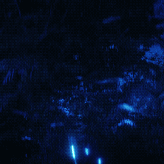 star trek: discovery space GIF by NETFLIX