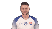 Slovakia Skriniar Sticker by Slovensky futbalovy zvaz