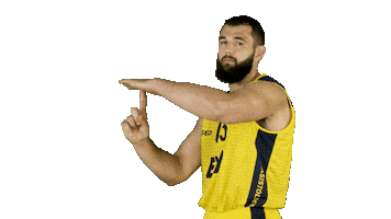 Ewe Baskets Basketball Sticker by EWE Baskets Oldenburg