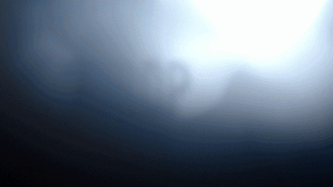 Amanda Seyfried Ceo GIF by HULU