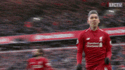 premier league dance GIF by Liverpool FC