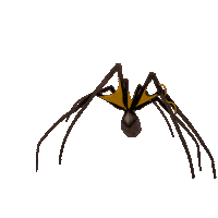 Animation Spider Sticker by Andarta Pictures