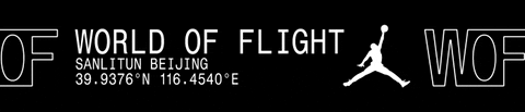 Jordan Take Flight GIF by jumpman23