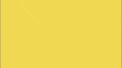 Celebrate Good News GIF by Dartmouth College