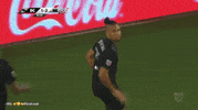 Celebration Msl GIF by Perfect Soccer