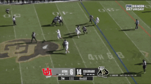 RotoBaller giphygifmaker GIF