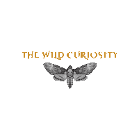 Natural History Logo Sticker by The Wild Curiosity