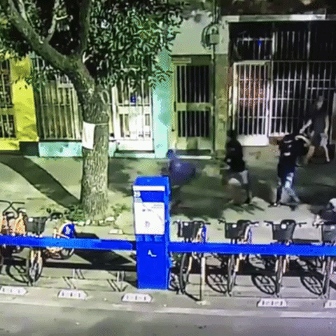 rosarioplus giphyupload GIF