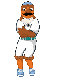 ferryhawks griddy hypesquad staten island ferryhawks frankie the ferryhawk Sticker