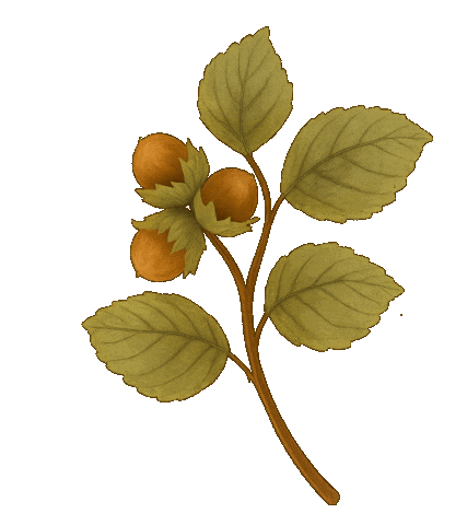Horse Leaves Sticker