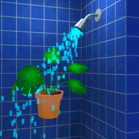 water shower GIF by jjjjjohn