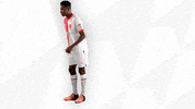 Football Sport GIF by SK Slavia Praha