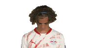 Look Up Rb Leipzig Sticker by Bundesliga