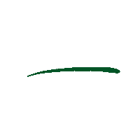 Line Underline Sticker by The Waldock Way