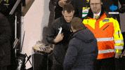 Leicester No GIF by MolaTV
