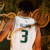 South Florida Basketball GIF by USF Athletics