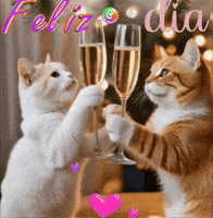 Gatos Saludos GIF by Murcianys LLC