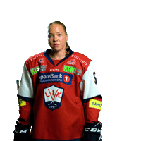 Sandnes Sticker by Lillehammer Ishockeyklubb