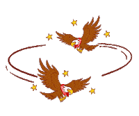 Futebol Benfica Sticker by Cerveja Sagres