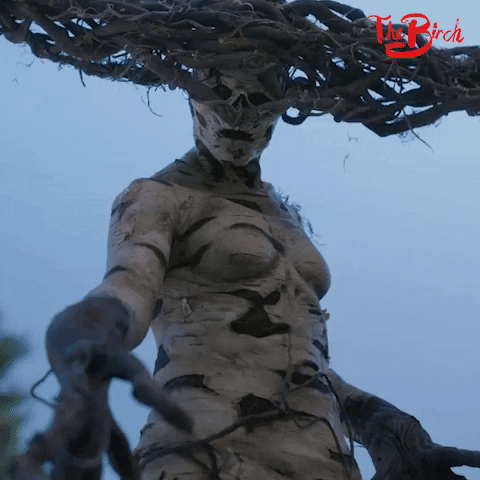 Season 1 Facebook Watch GIF by The Birch