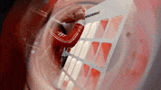 Formula 1 Sport GIF by Formula Santander